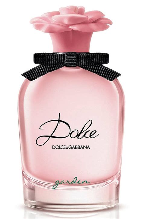 nordstrom women dolce and gabbana.